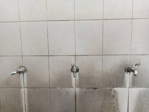 Best Water damage restoration company  in Sumner, IL